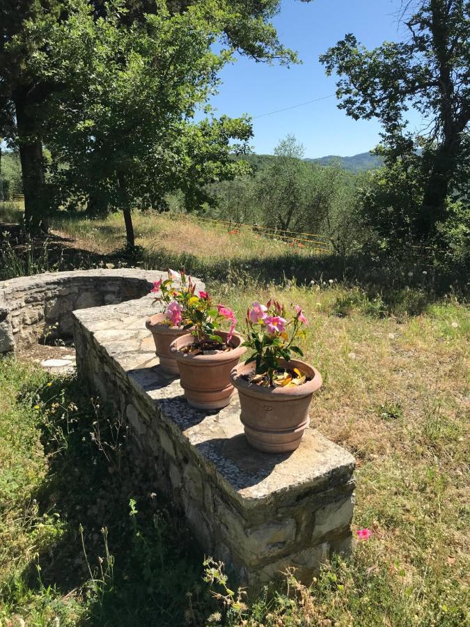 Casanova Di Ricavo Villa Gaiole in Chianti Eksteriør bilde