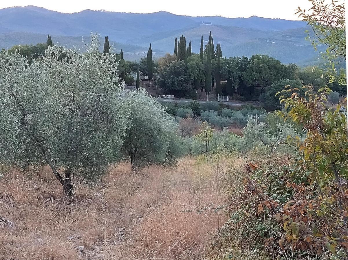 Casanova Di Ricavo Villa Gaiole in Chianti Eksteriør bilde